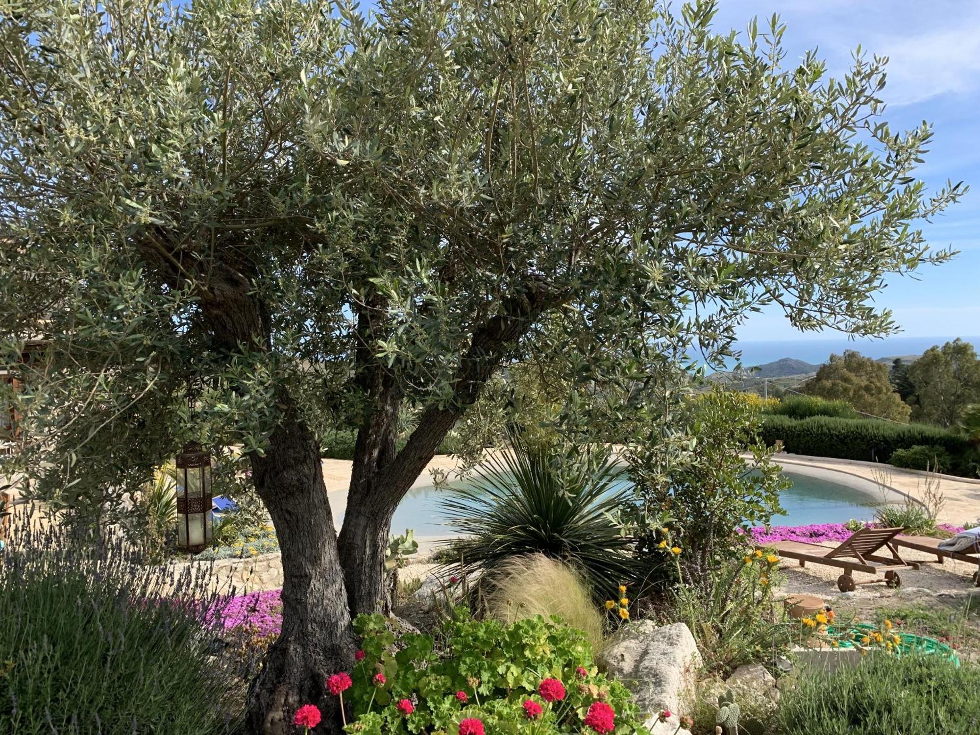 Casa Balata Farm House ريالمونتي المظهر الخارجي الصورة