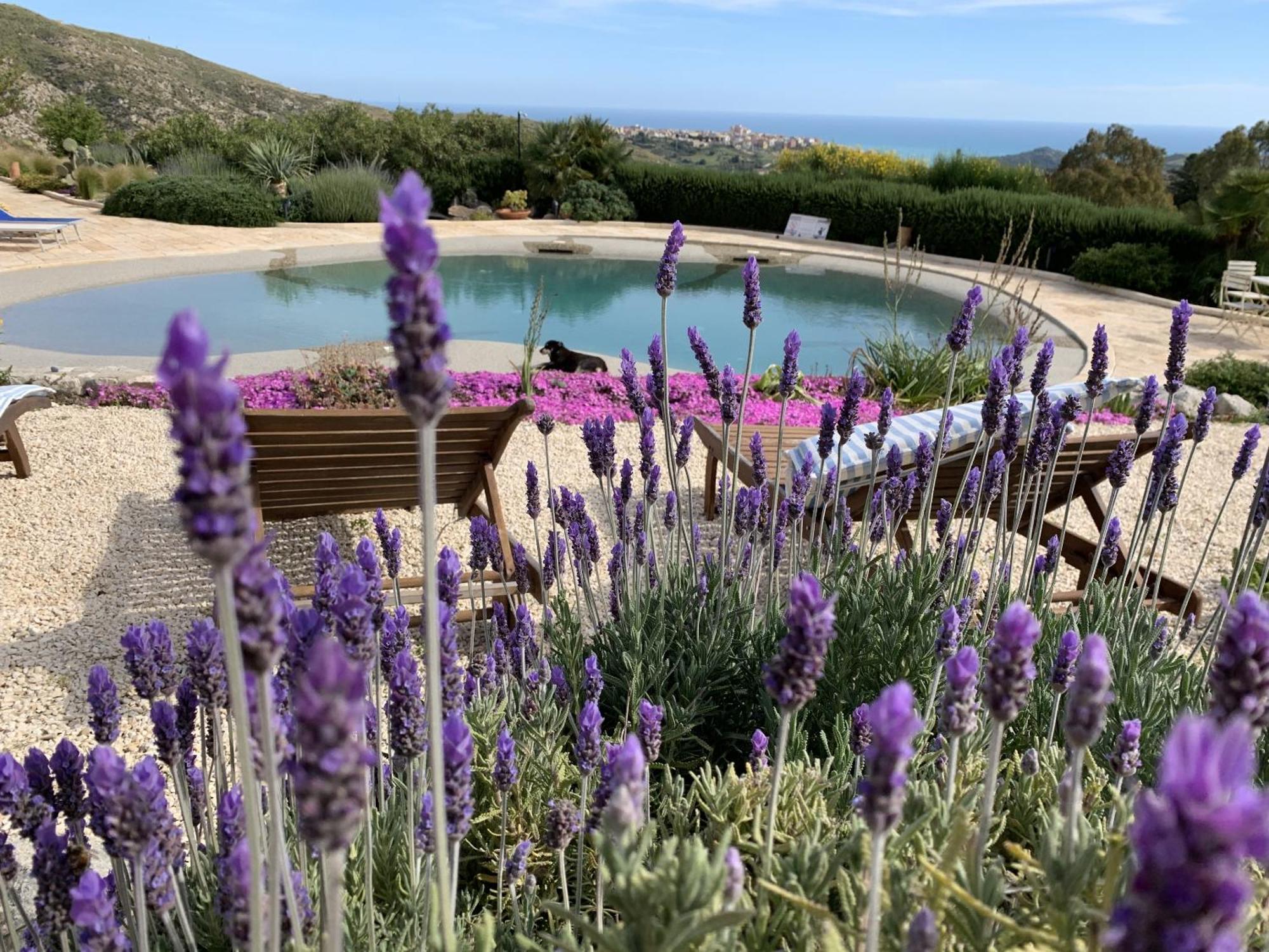 Casa Balata Farm House ريالمونتي المظهر الخارجي الصورة