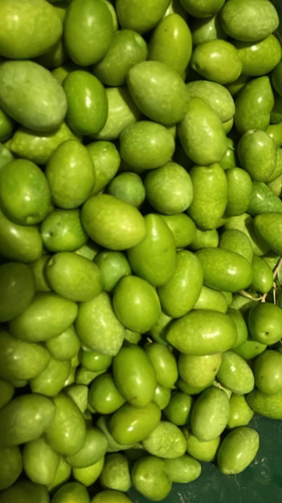 Casa Balata Farm House ريالمونتي المظهر الخارجي الصورة