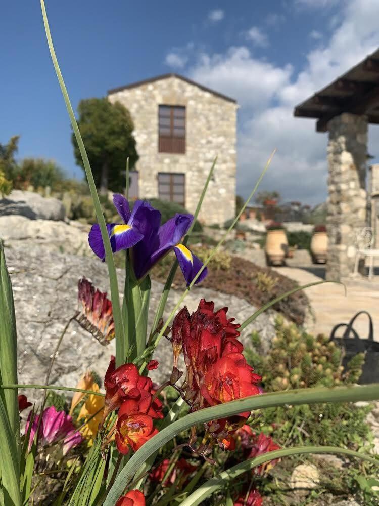 Casa Balata Farm House ريالمونتي المظهر الخارجي الصورة