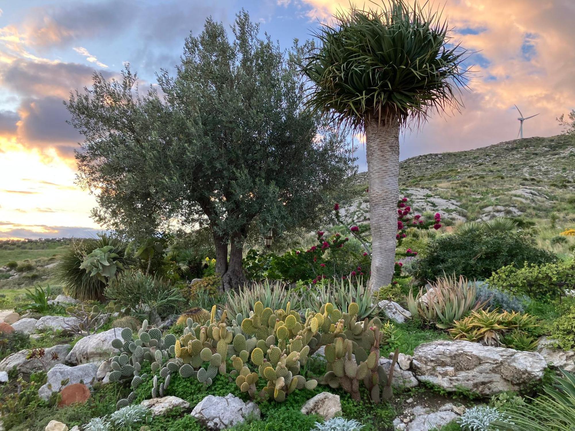 Casa Balata Farm House ريالمونتي المظهر الخارجي الصورة