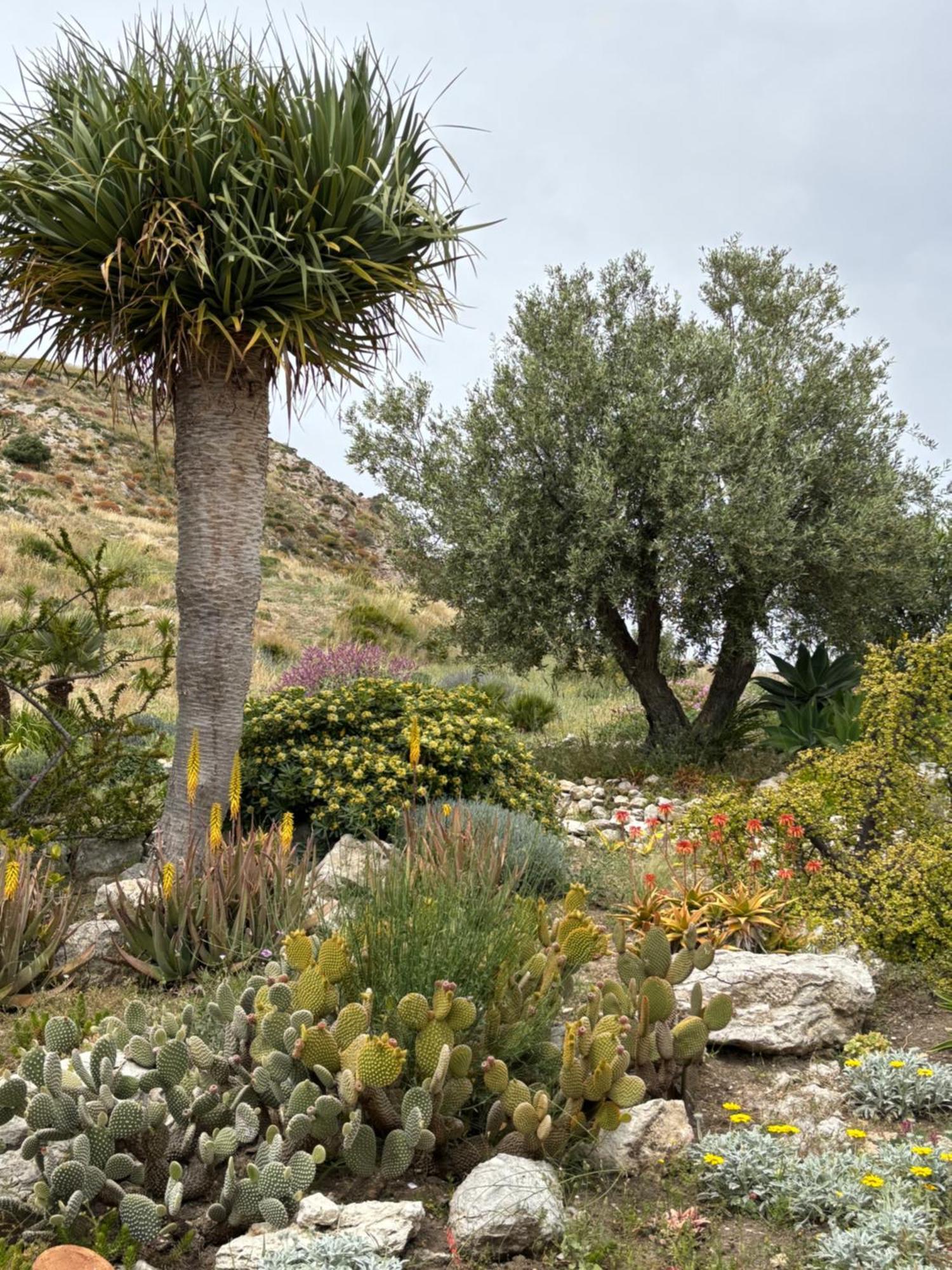 Casa Balata Farm House ريالمونتي المظهر الخارجي الصورة